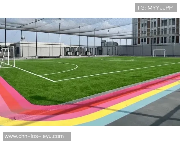 室内足球场装修设计指南提升运动体验与场地美观的完美结合